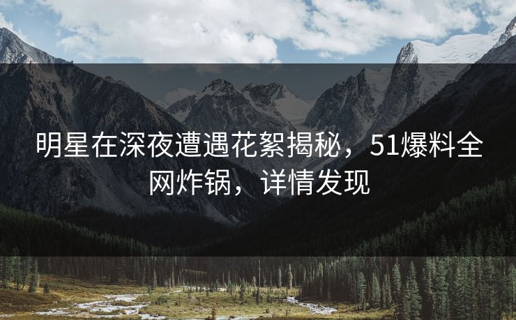 明星在深夜遭遇花絮揭秘，51爆料全网炸锅，详情发现