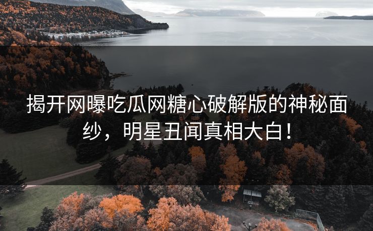 揭开网曝吃瓜网糖心破解版的神秘面纱，明星丑闻真相大白！