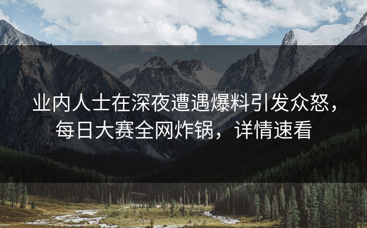 业内人士在深夜遭遇爆料引发众怒，每日大赛全网炸锅，详情速看