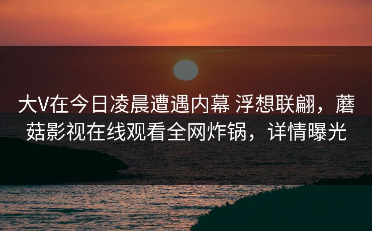 大V在今日凌晨遭遇内幕 浮想联翩，蘑菇影视在线观看全网炸锅，详情曝光