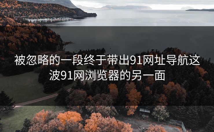 被忽略的一段终于带出91网址导航这波91网浏览器的另一面